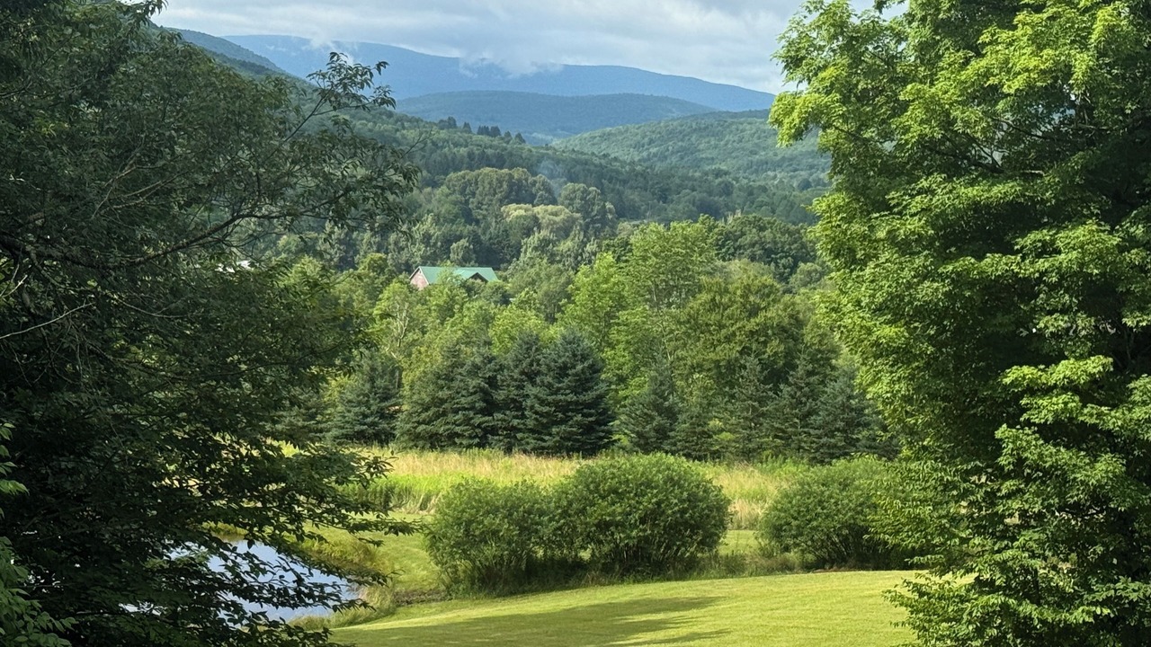 Photo of Others in Denver