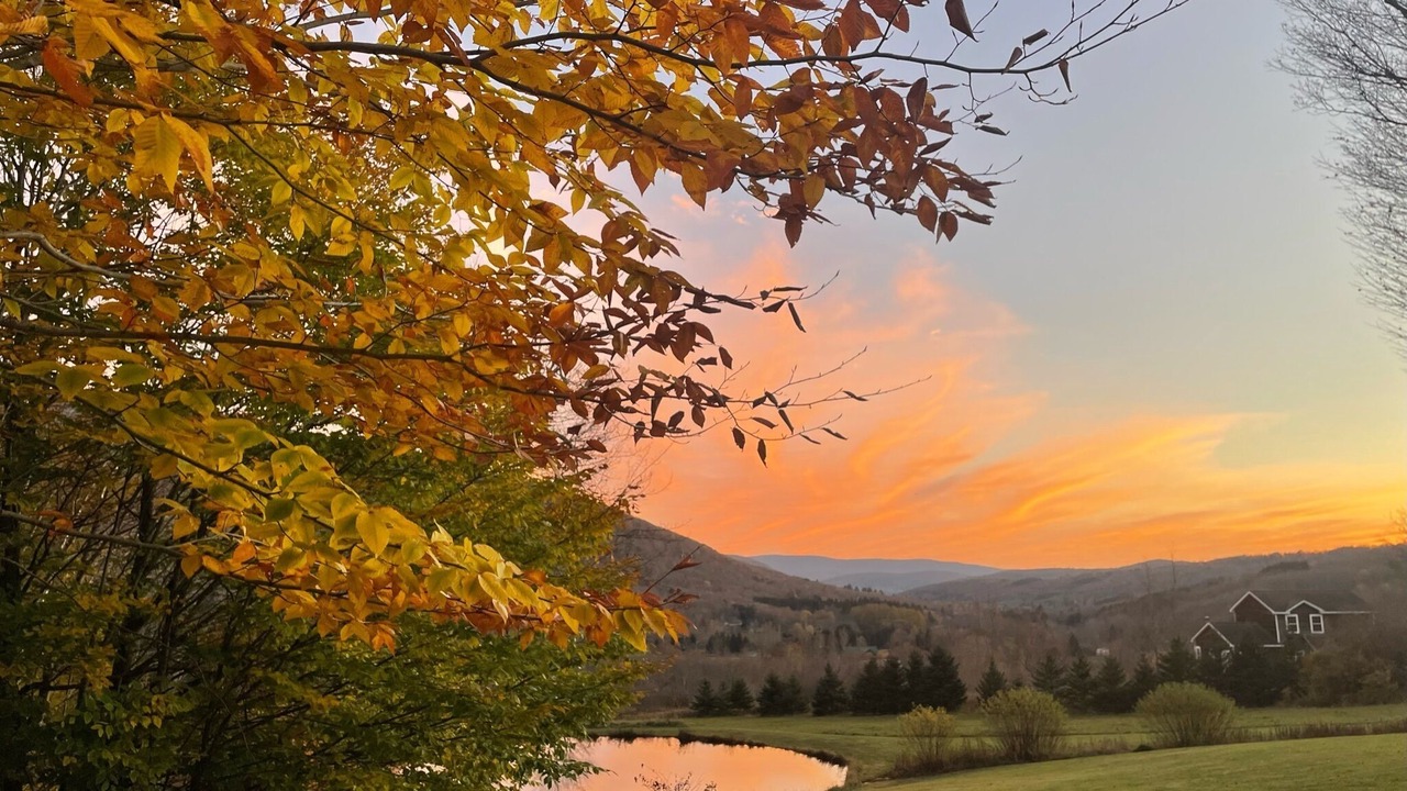 Photo of Others in Denver