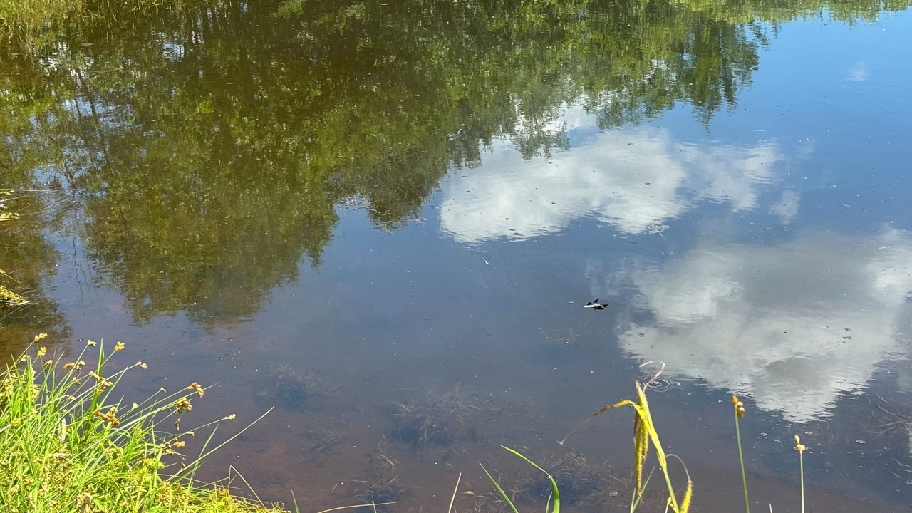 Photo of Others in Denver