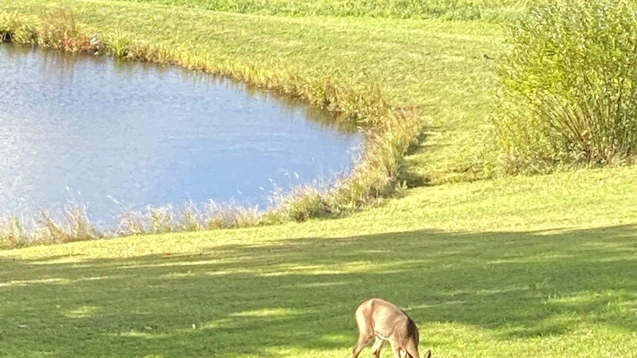 Photo of Others in Denver