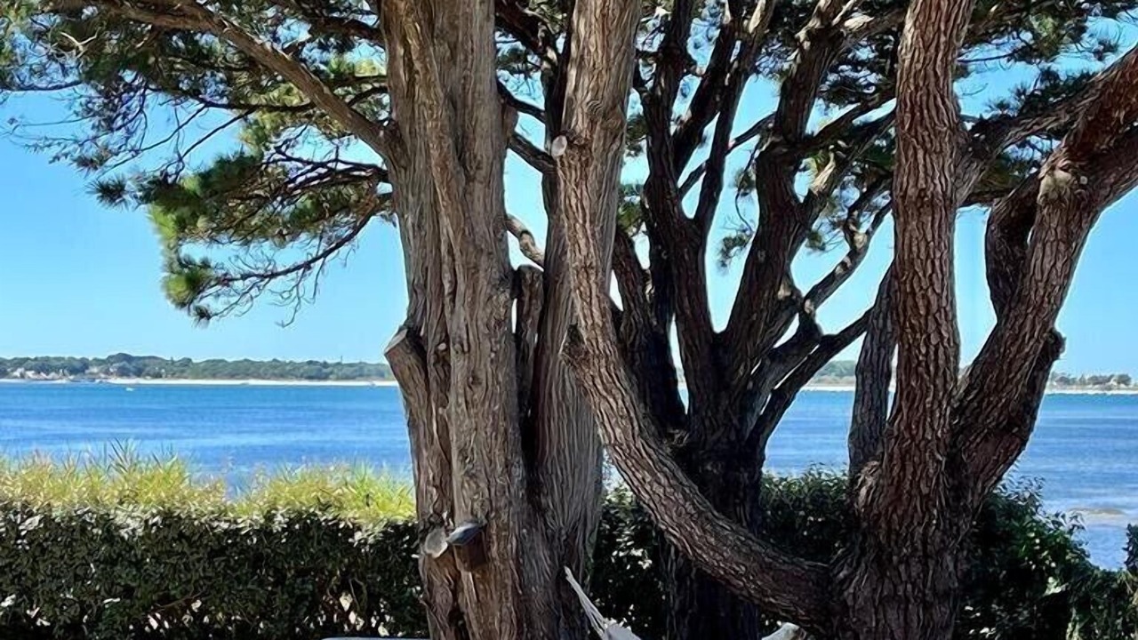 Photo of Outdoor in Asserac