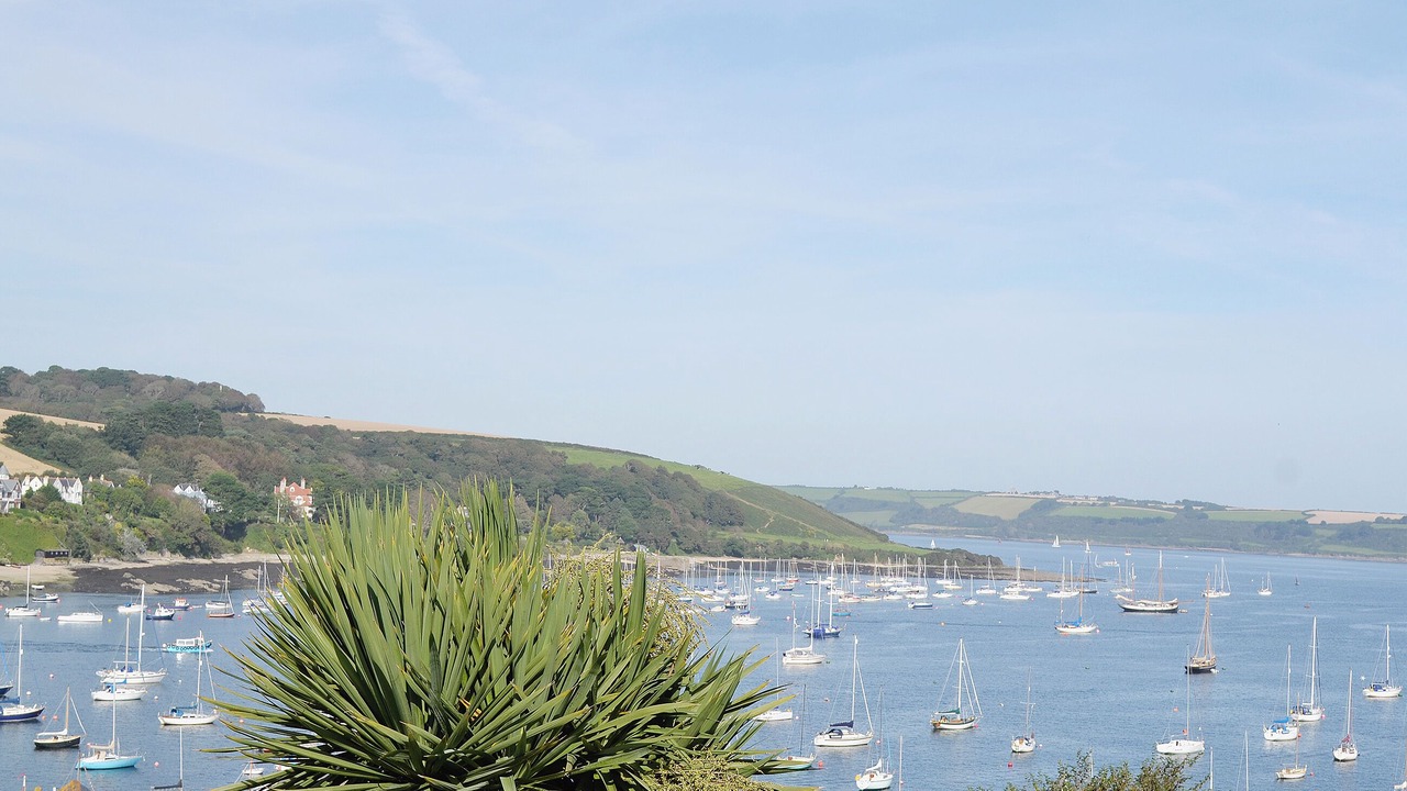 Photo of Others in Falmouth