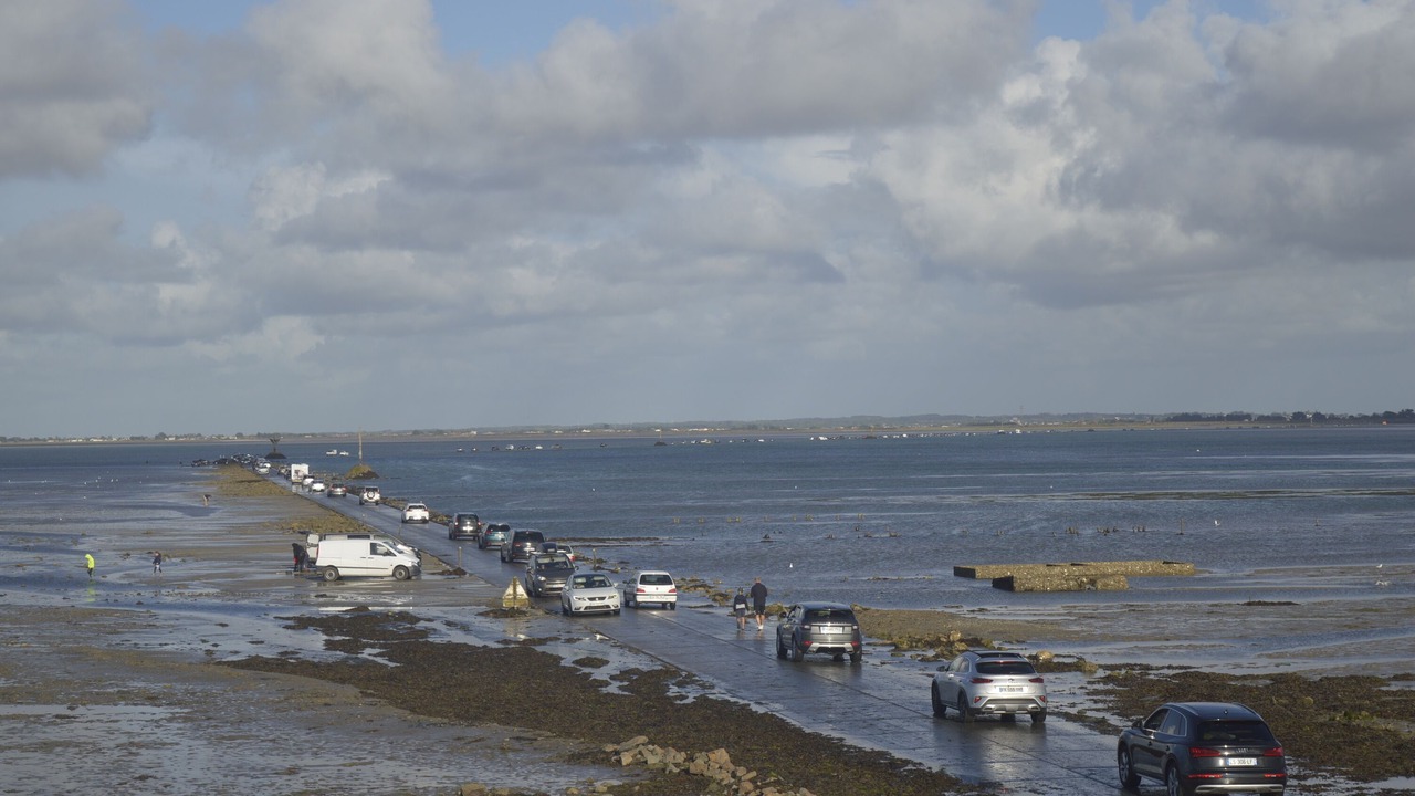 Photo of Others in Barbatre