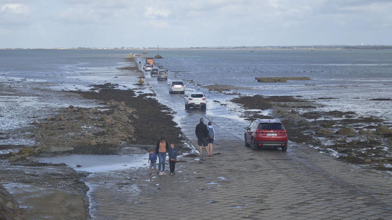 Photo of Others in Barbatre