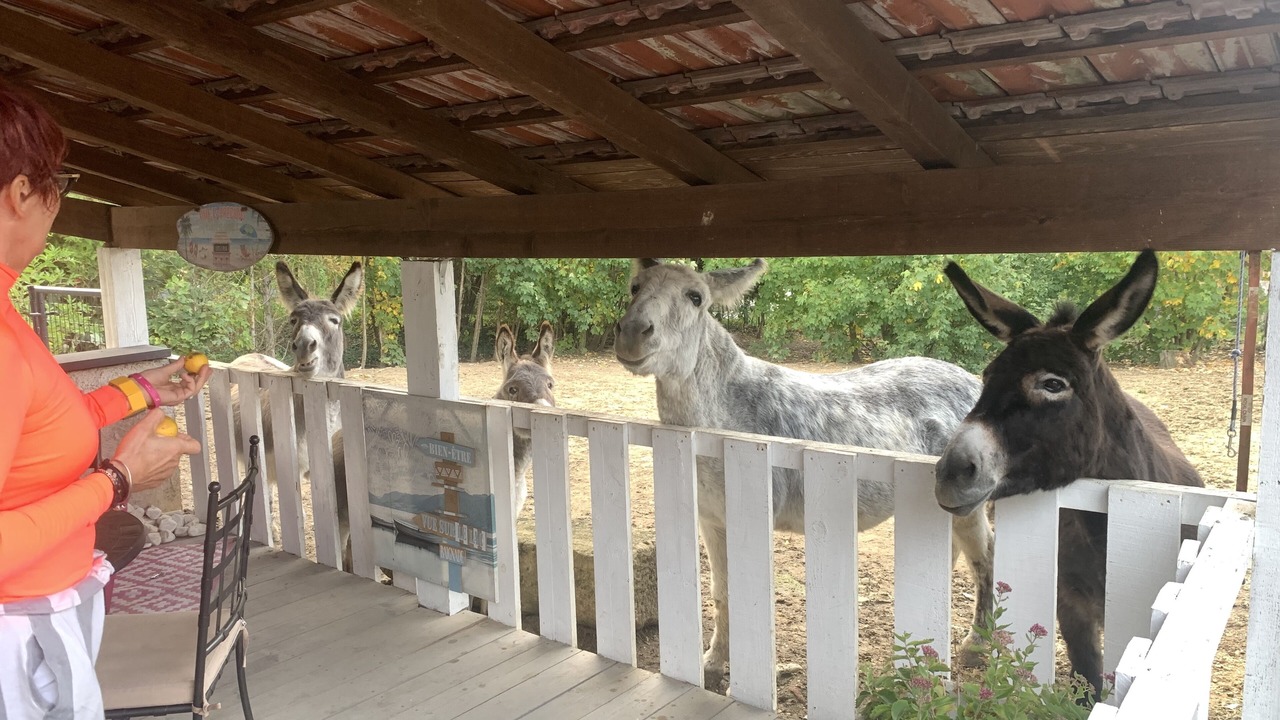 Photo of Outdoor in Failly