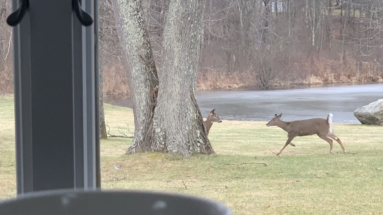 Photo of Others in Poughkeepsie