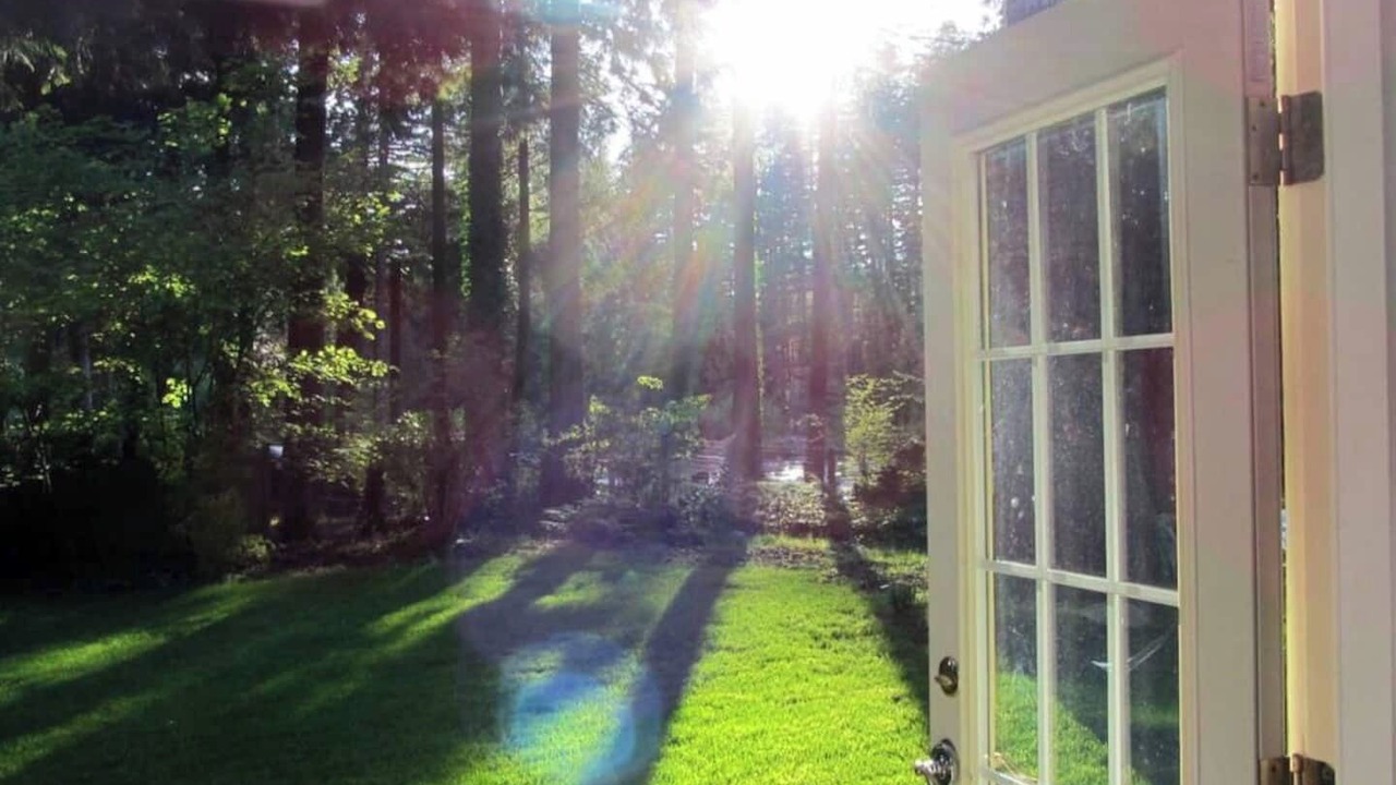 Photo of Others in Tanner