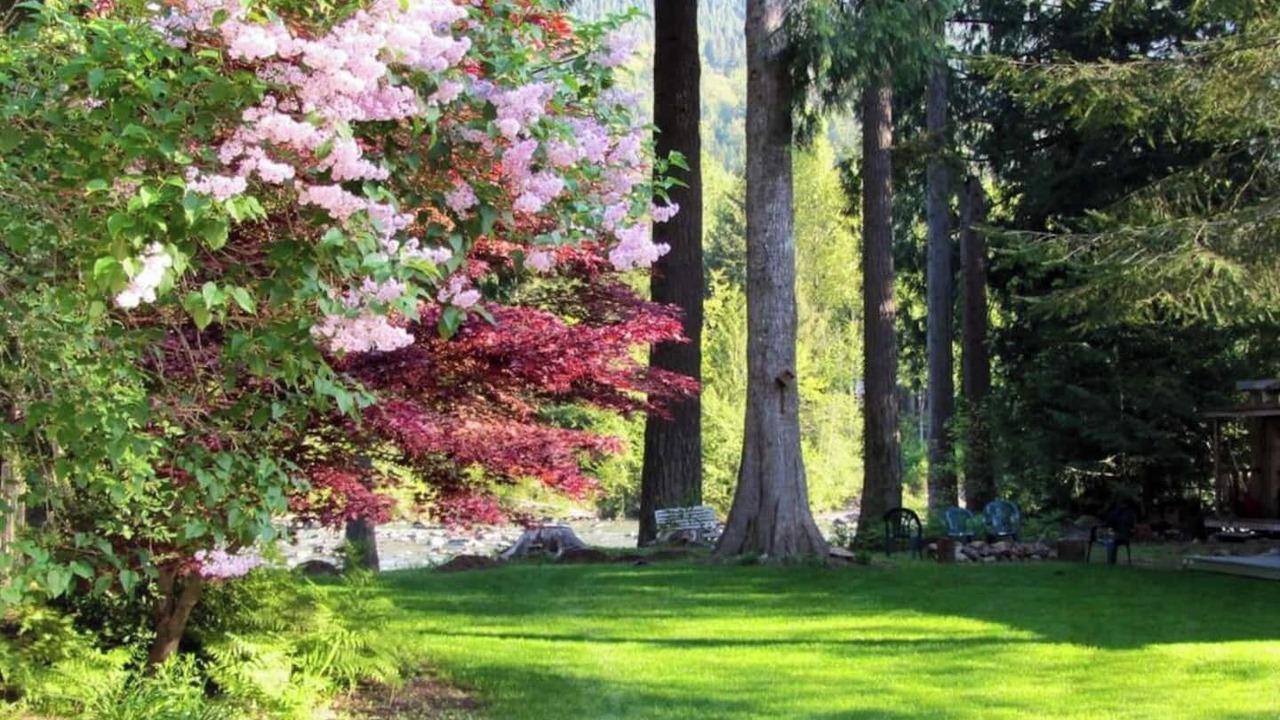 Photo of Others in Tanner