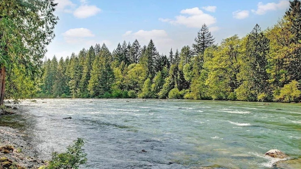 Photo of Others in Tanner