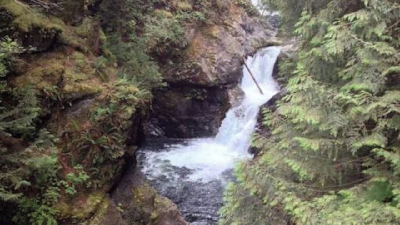 Photo of Outdoor in Tanner