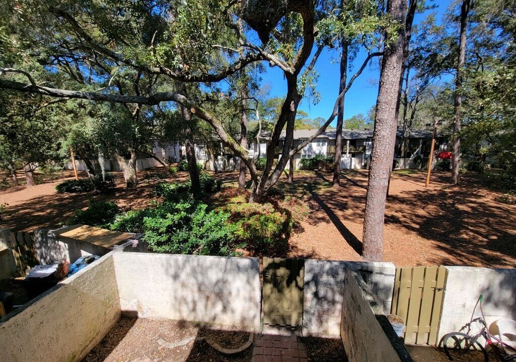 Photo of Outdoor in Palmetto Dunes
