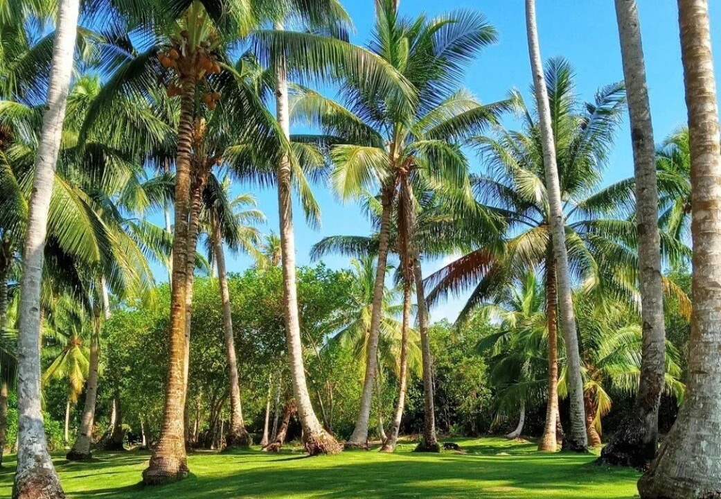 Photo of Outdoor in Katiet