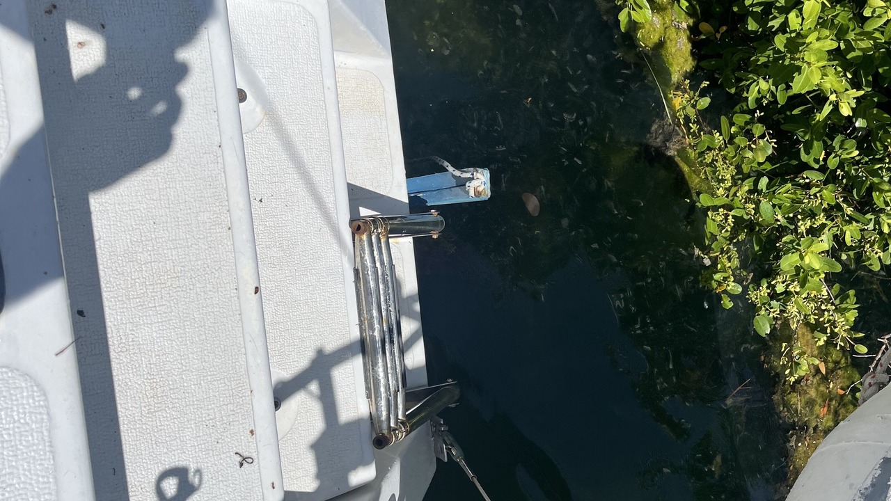 Photo of Outdoor in Big Coppitt Key