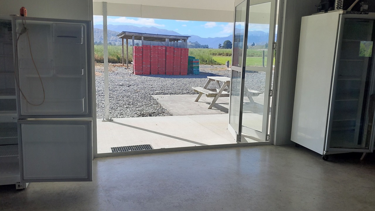 Photo of Others in Rangitikei