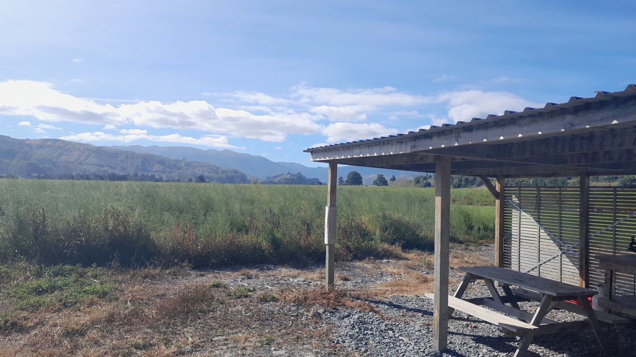 Photo of Outdoor in Rangitikei