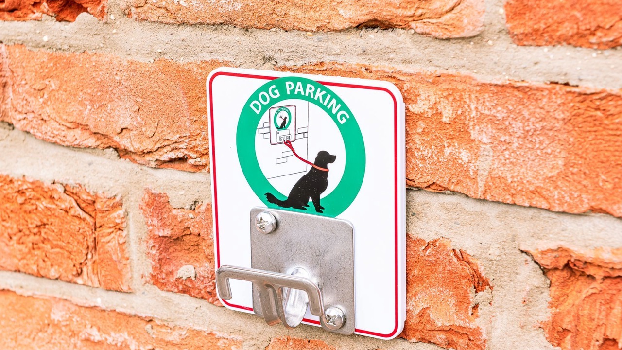 Photo of Others in York