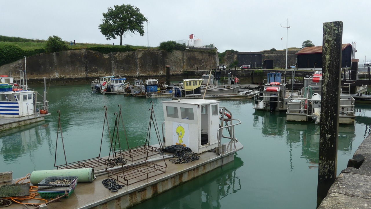 Photo of Others in Dolus-d'Oleron