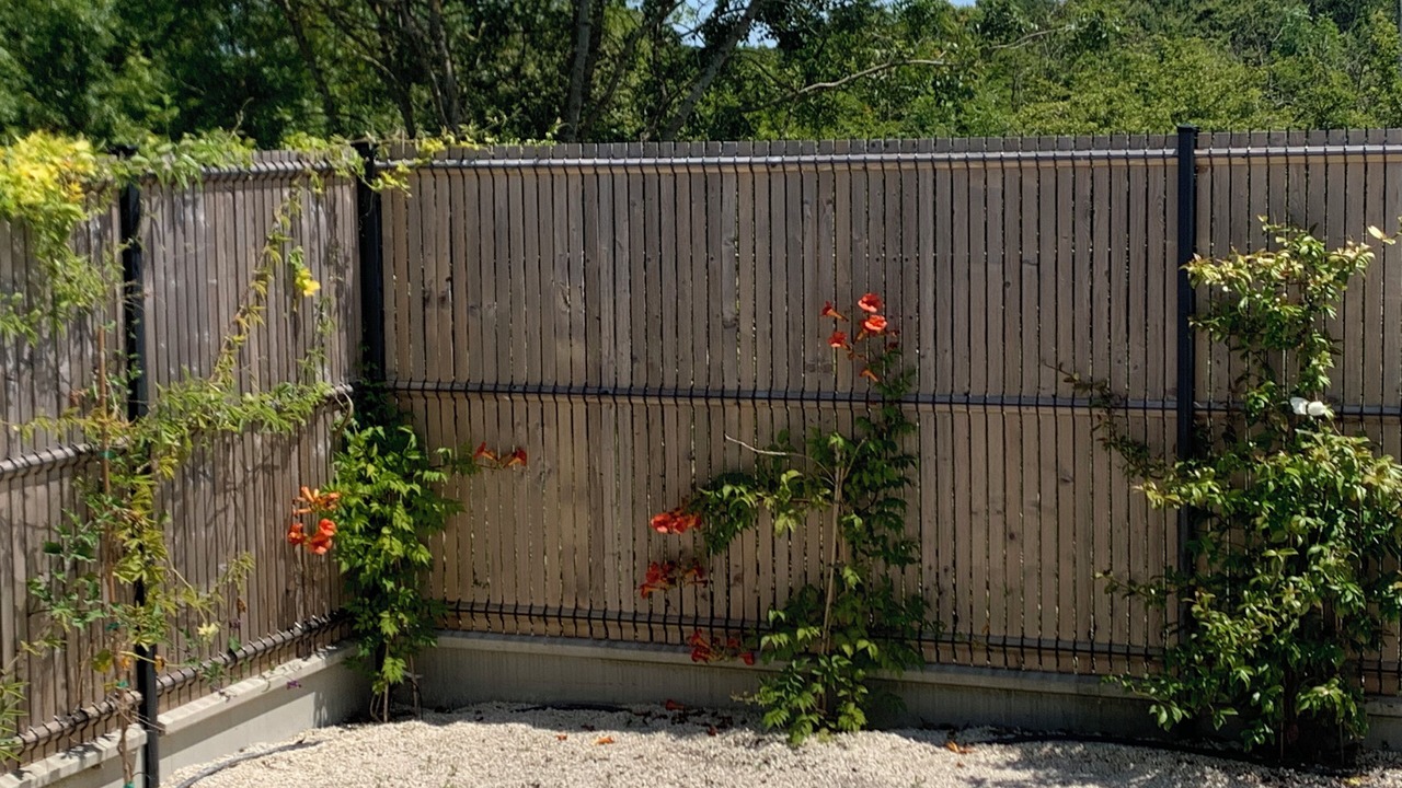 Photo of Outdoor in Dolus-d'Oleron