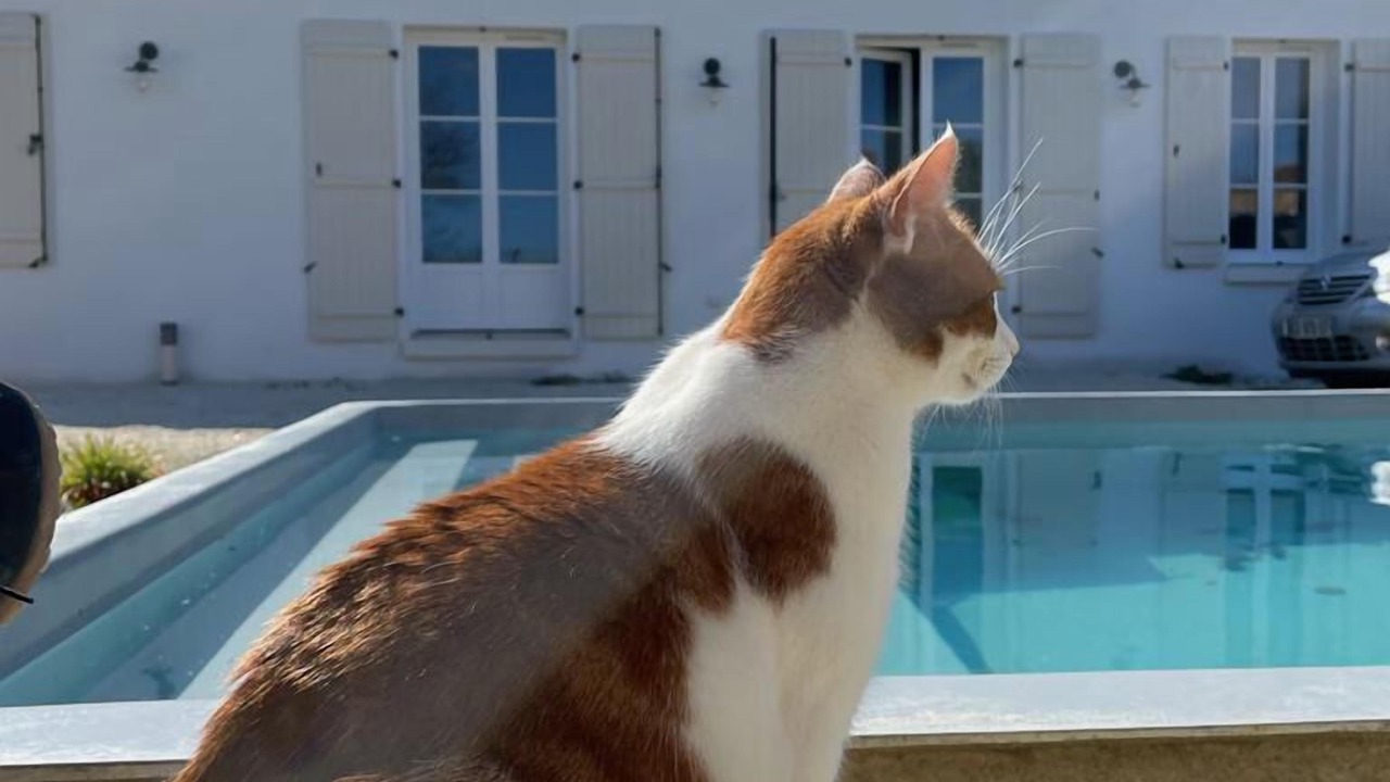 Photo of Outdoor in Dolus-d'Oleron