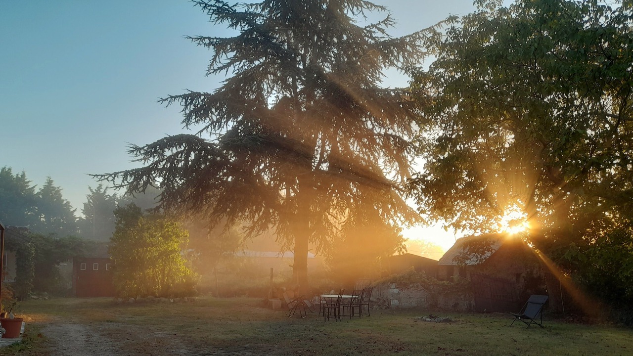 Photo of Outdoor in Blaison-Saint-Sulpice
