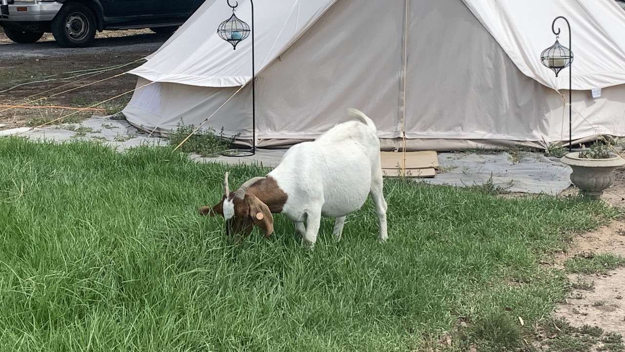 Photo of Others in Violet Town