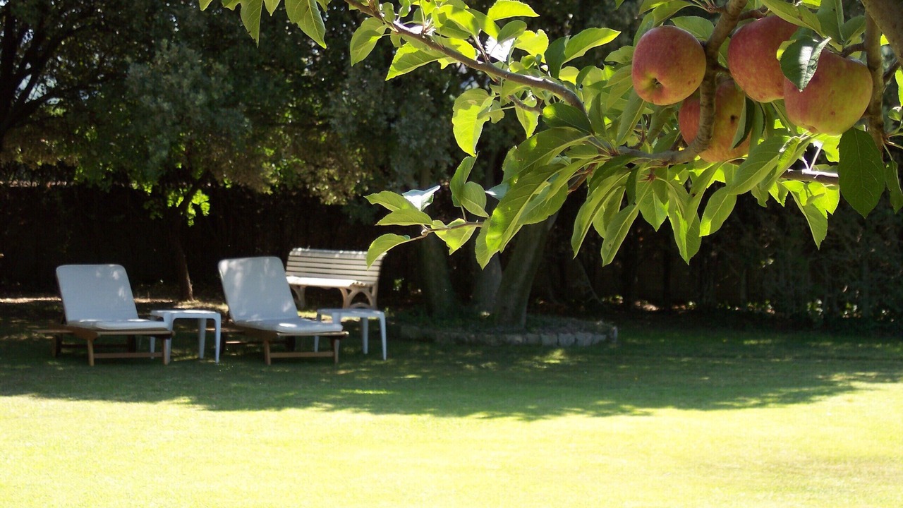 Photo of Outdoor in Menerbes