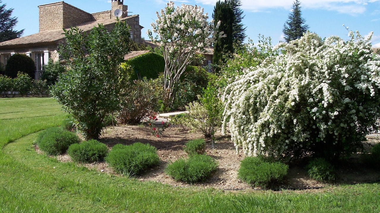 Photo of Outdoor in Menerbes