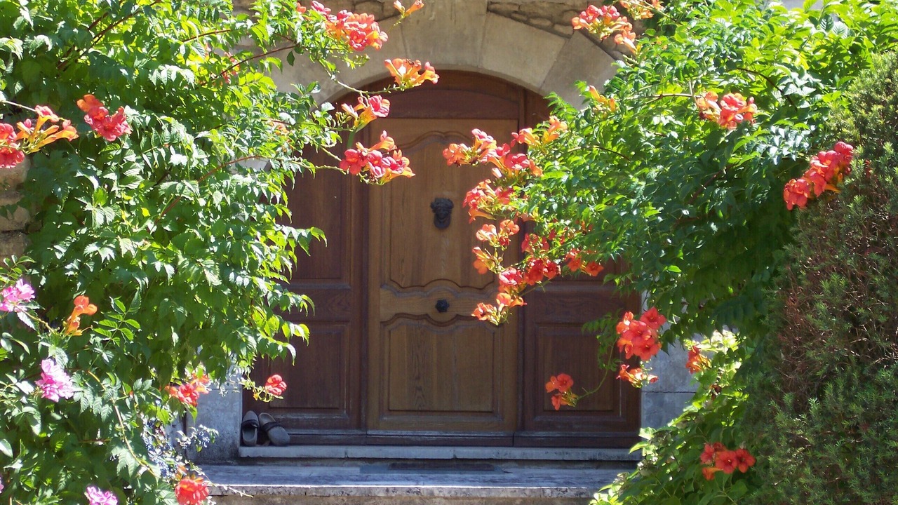 Photo of Outdoor in Menerbes