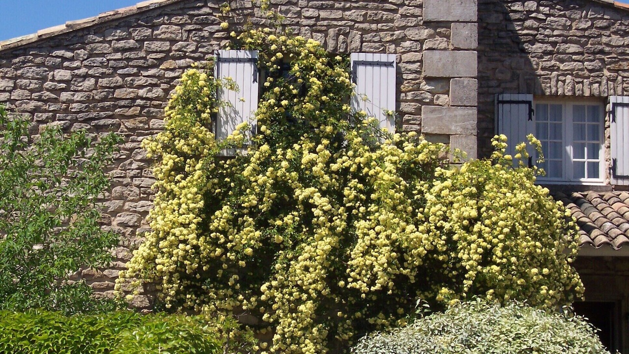 Photo of Outdoor in Menerbes