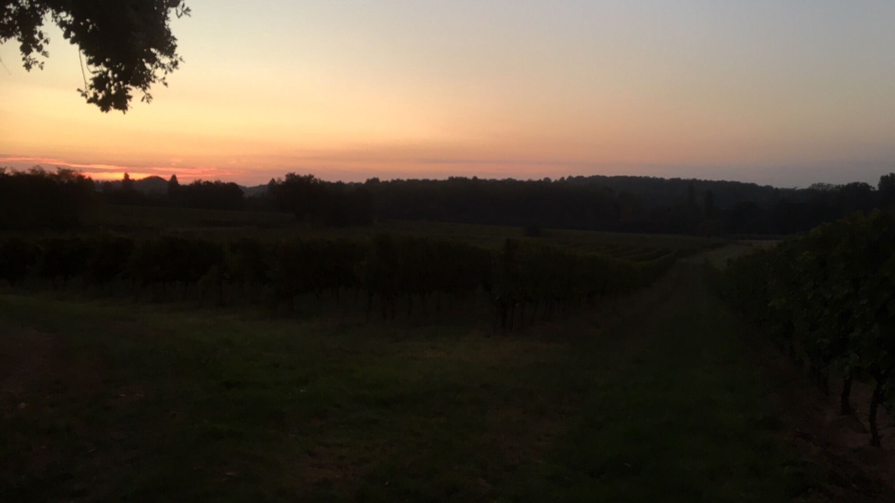 Photo of Outdoor in Saint-Germain-Du-Puch