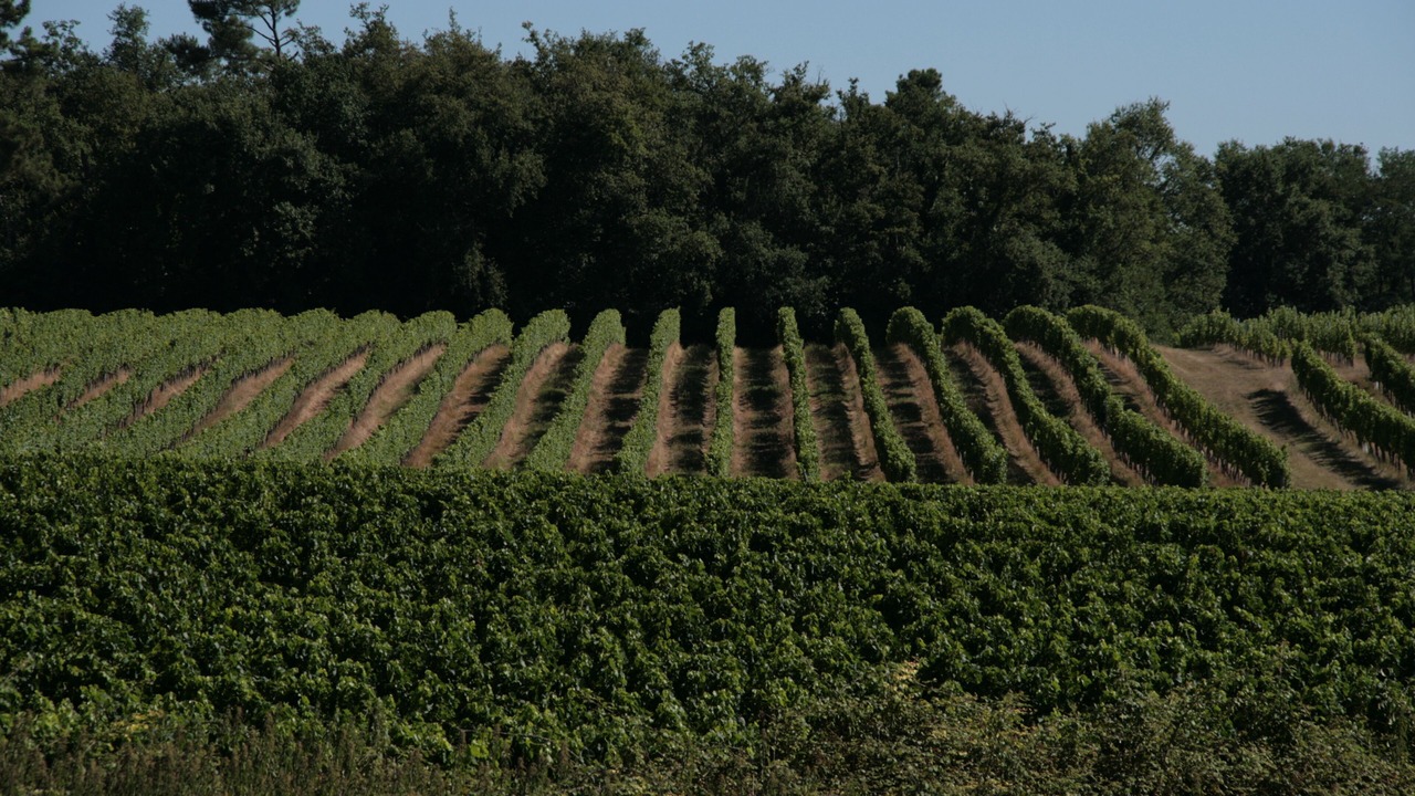 Photo of Outdoor in Saint-Germain-Du-Puch