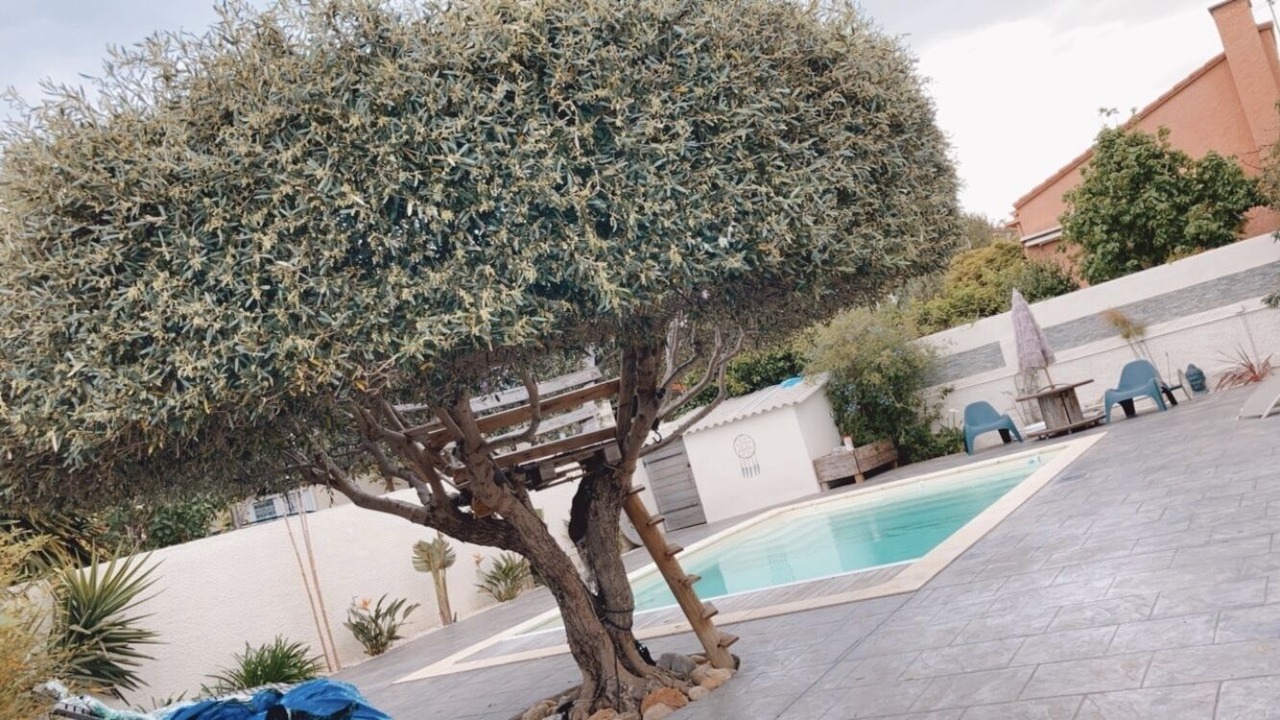 Photo of Outdoor in Villeneuve-de-la-Raho