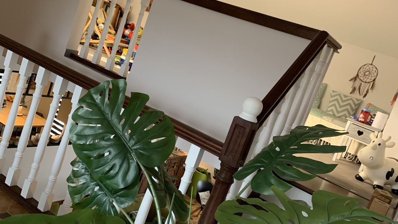 Photo of Others in Villeneuve-de-la-Raho