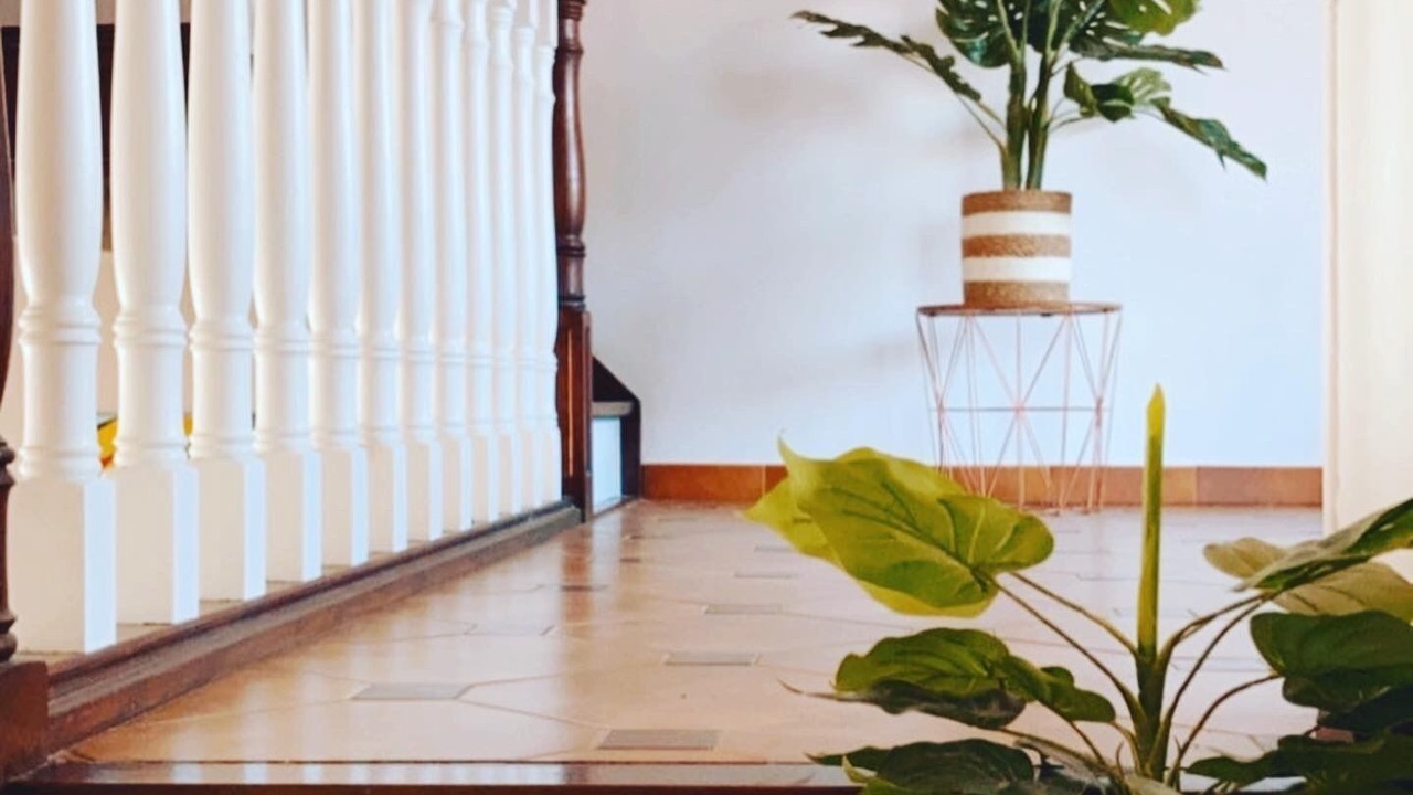 Photo of Others in Villeneuve-de-la-Raho