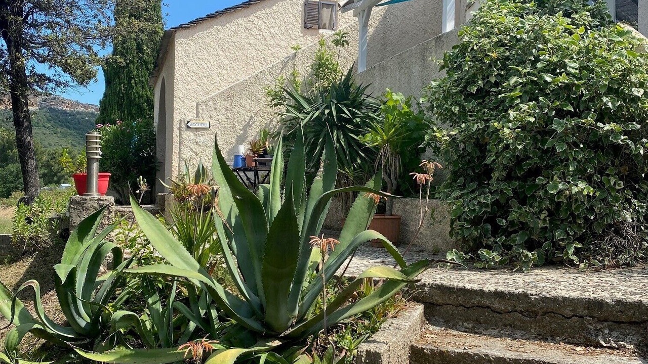 Photo of Outdoor in Patrimonio