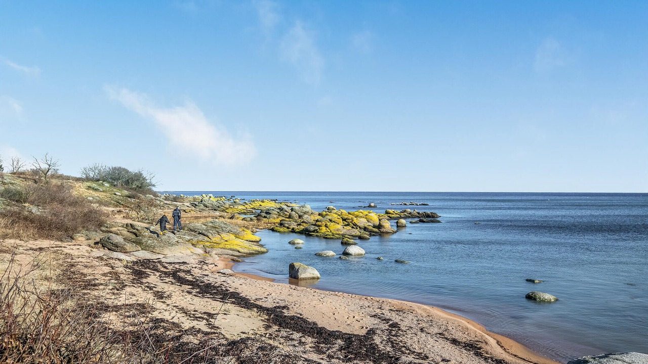 Photo of Others in Svaneke