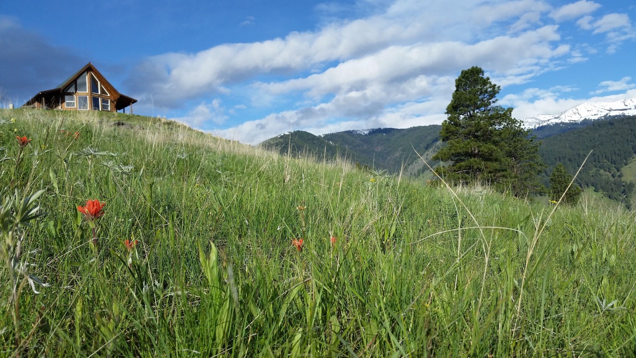 Photo of Outdoor in Riggins