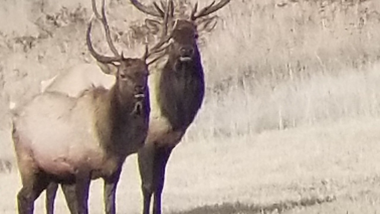 Photo of Others in Riggins