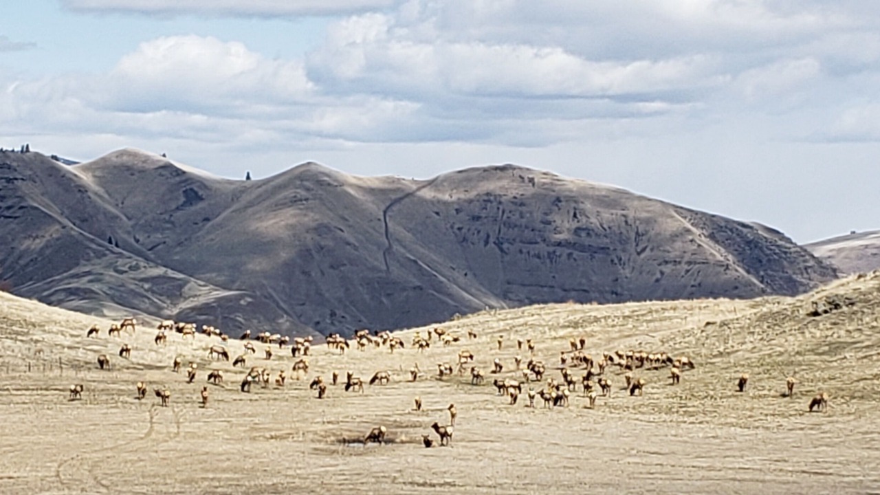 Photo of Others in Riggins