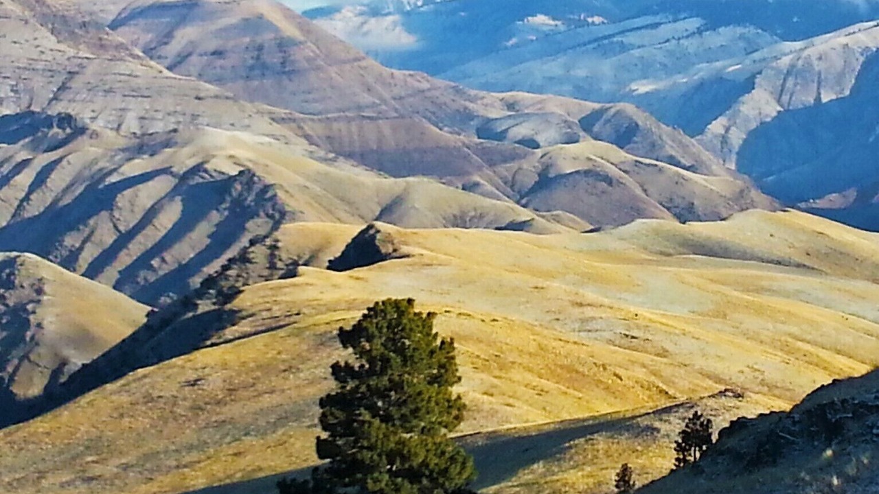 Photo of Outdoor in Riggins