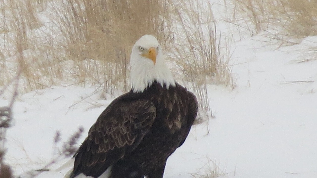 Photo of Others in Riggins