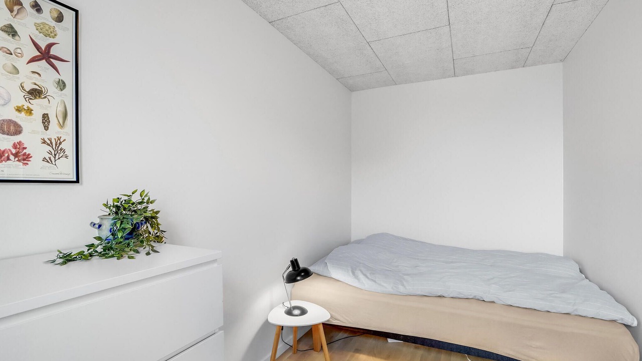 Photo of Others in Vorupør