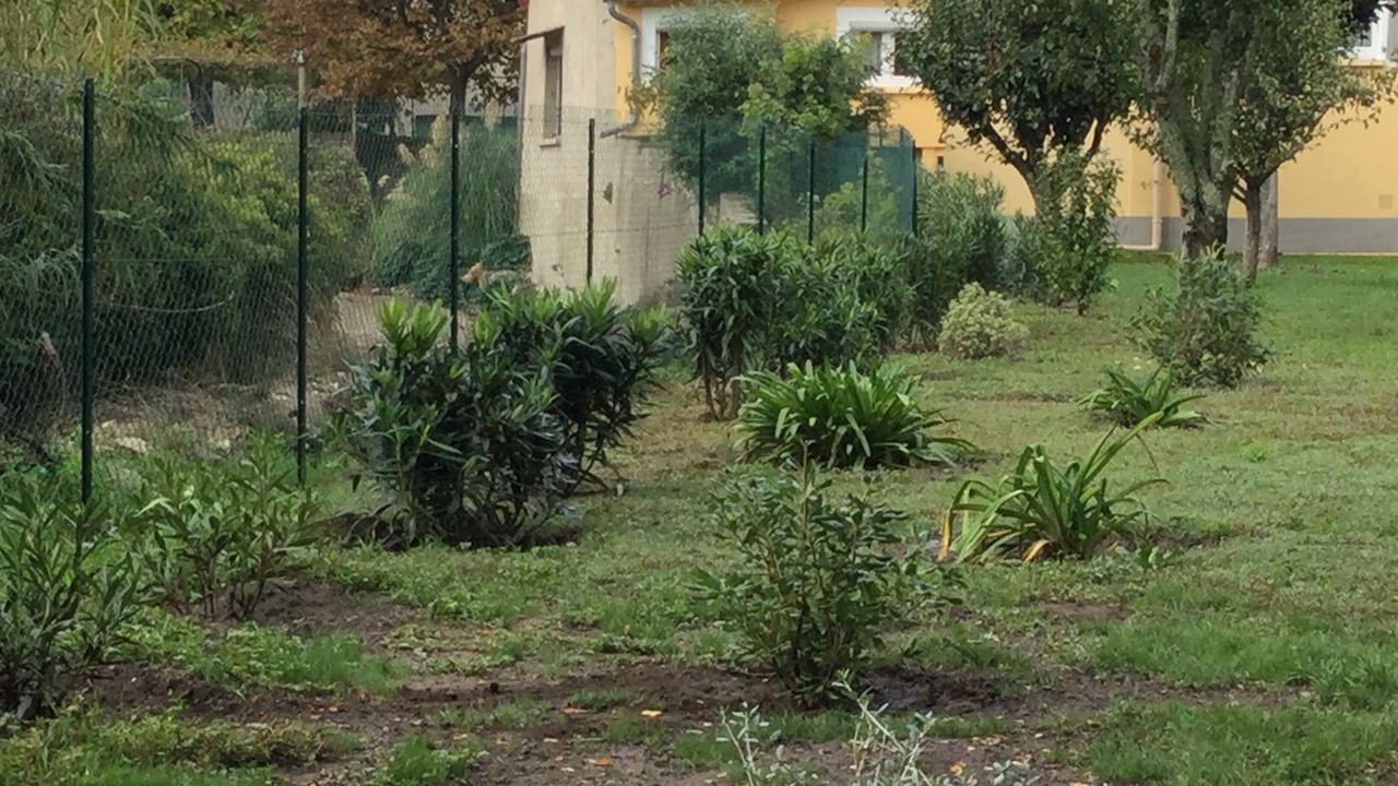 Photo of Outdoor in Cendras