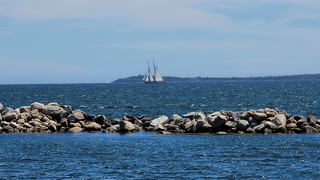 Photo of Others in Blue Rocks