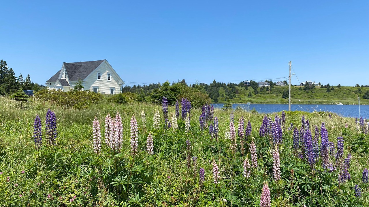 Photo of Outdoor in Blue Rocks