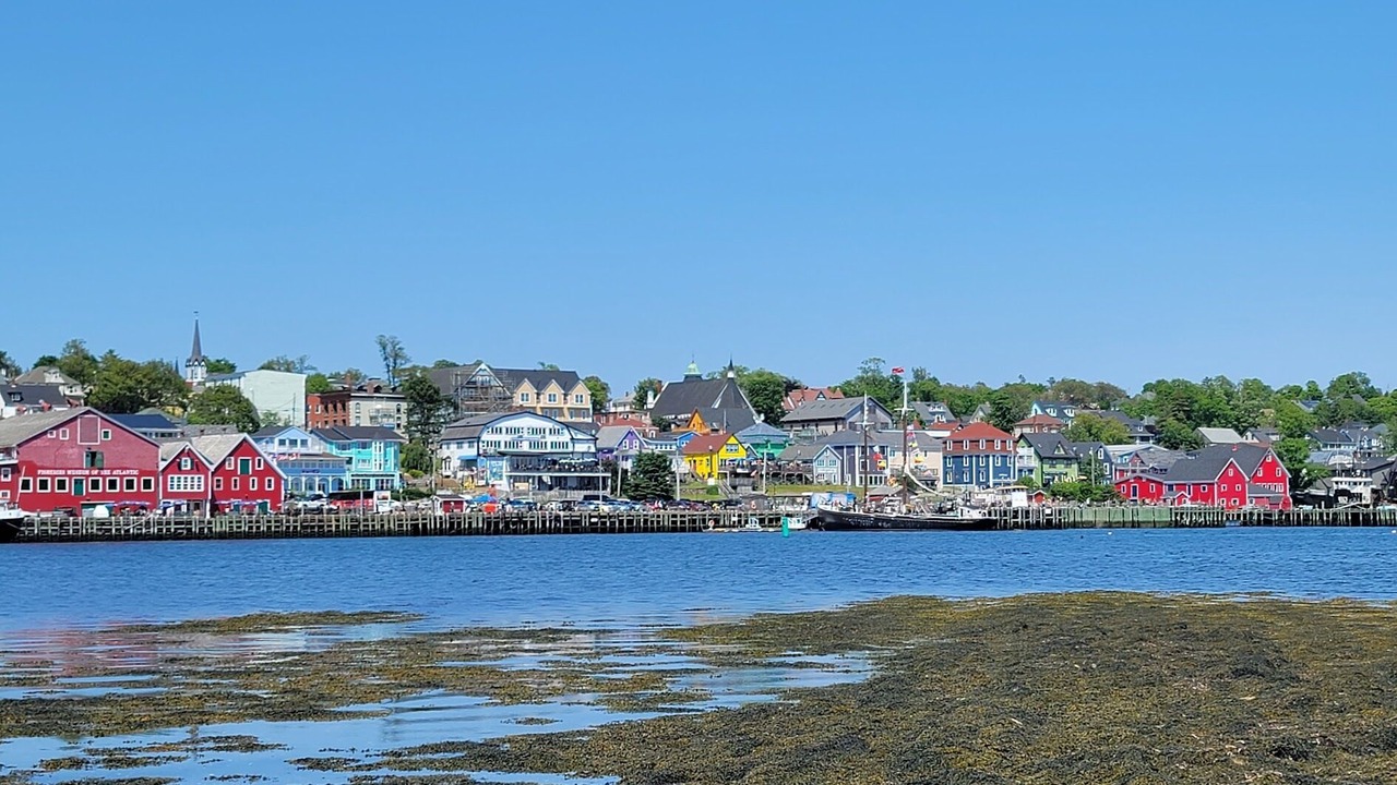 Photo of Others in Blue Rocks