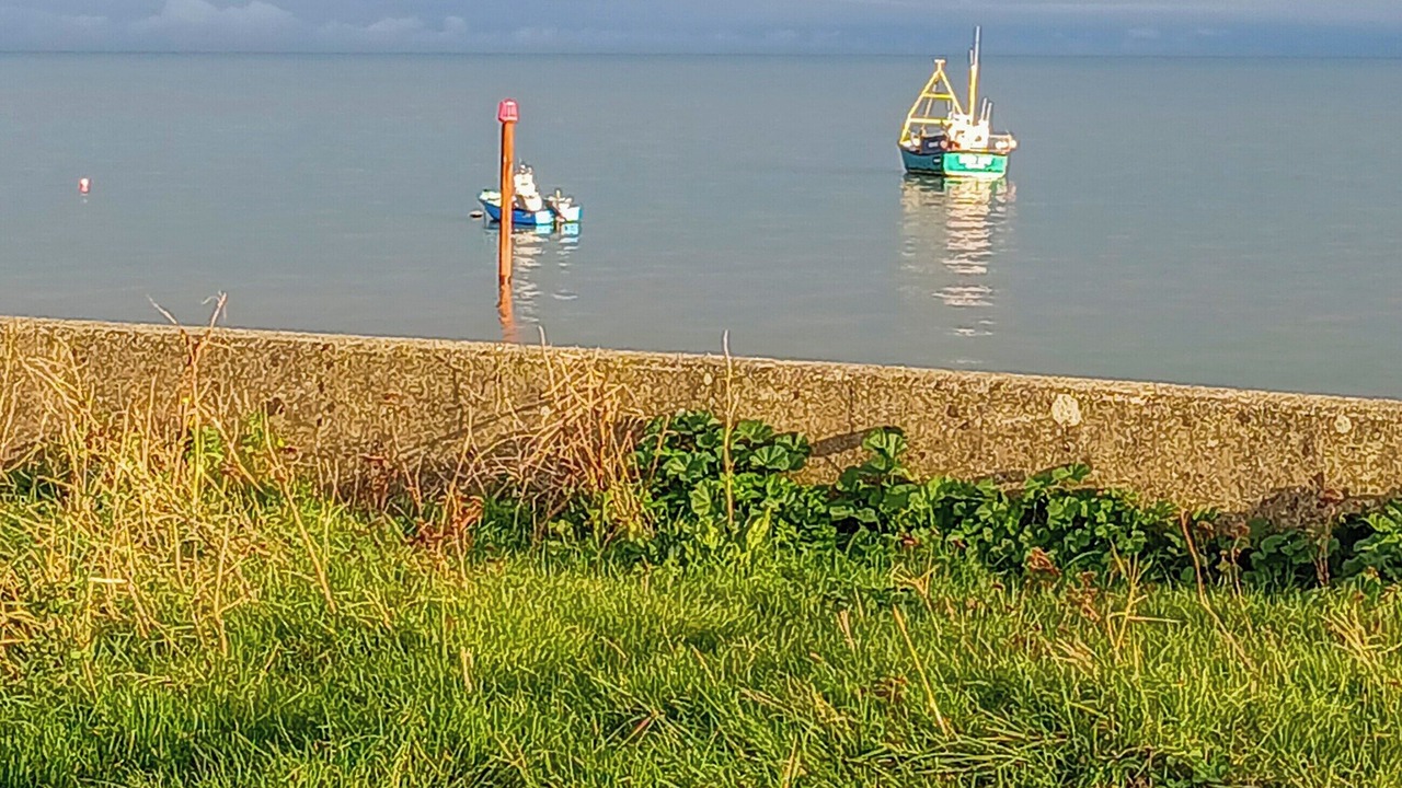 Photo of Others in Selsey