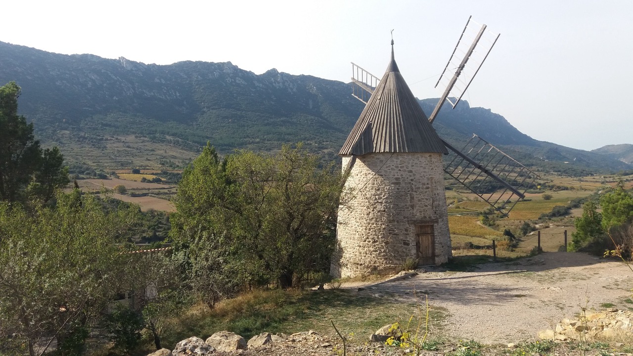 Photo of Others in Duilhac-sous-Peyrepertuse