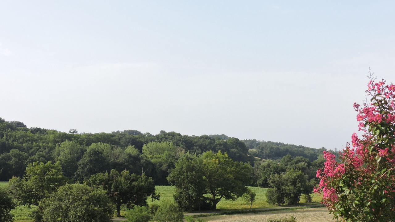 Photo of Outdoor in Peyrusse-Grande