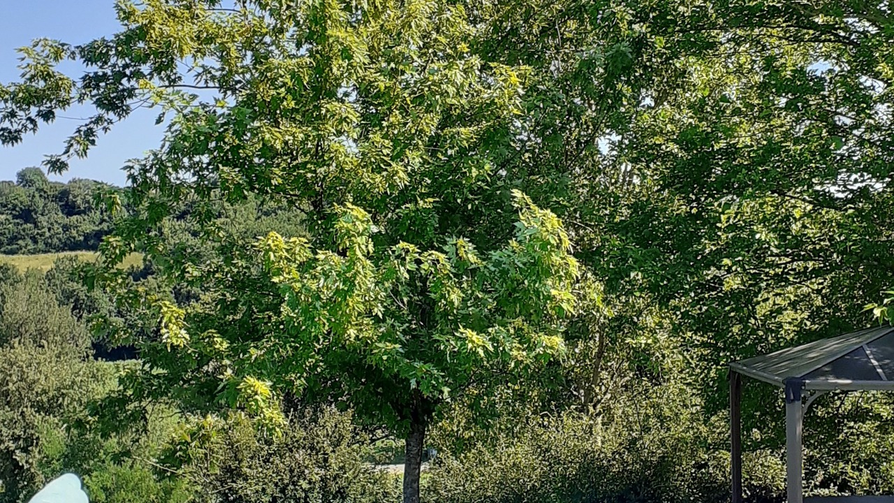 Photo of Outdoor in Peyrusse-Grande